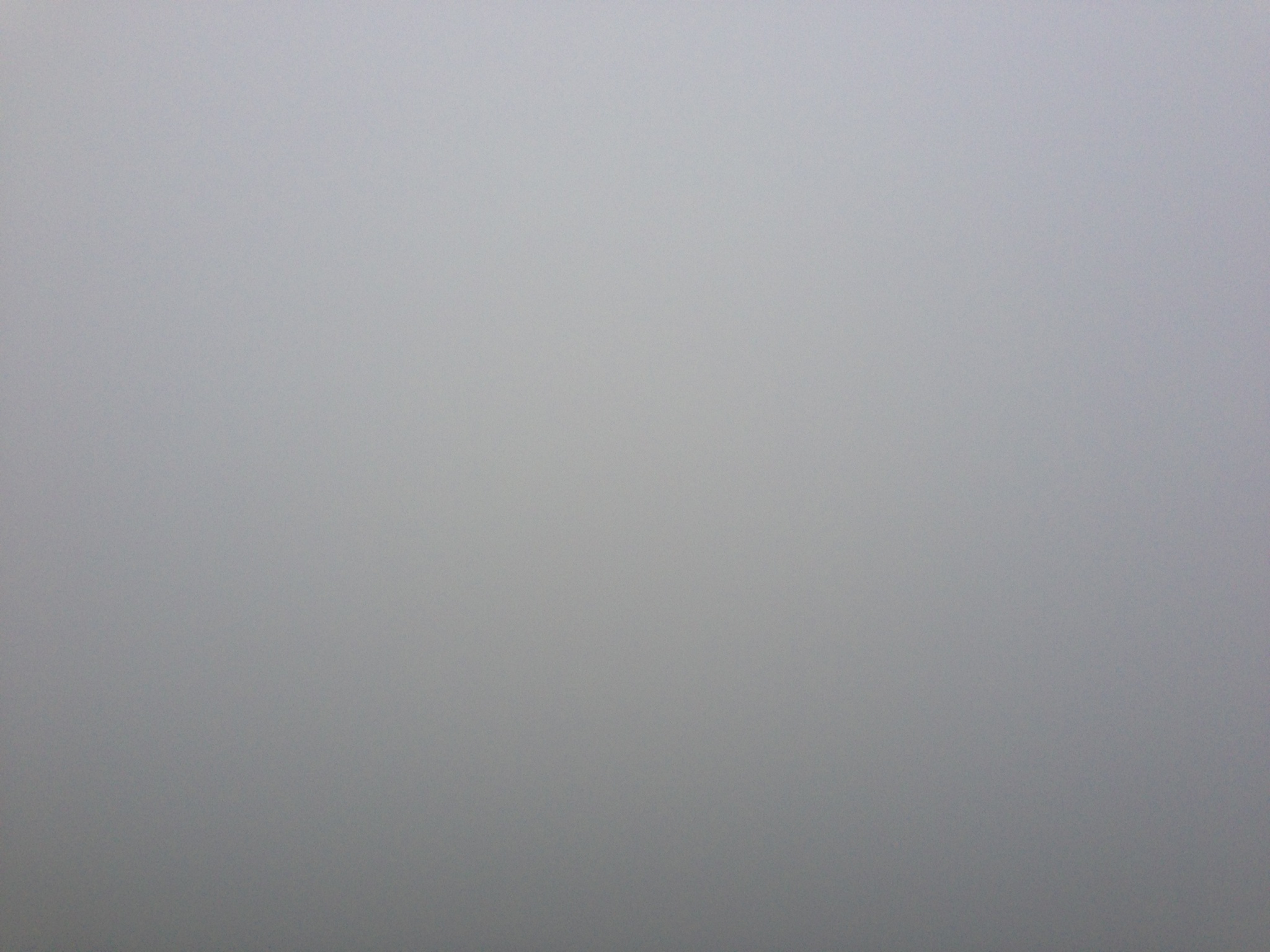 The beautiful Cliffs of Moher in the fog.